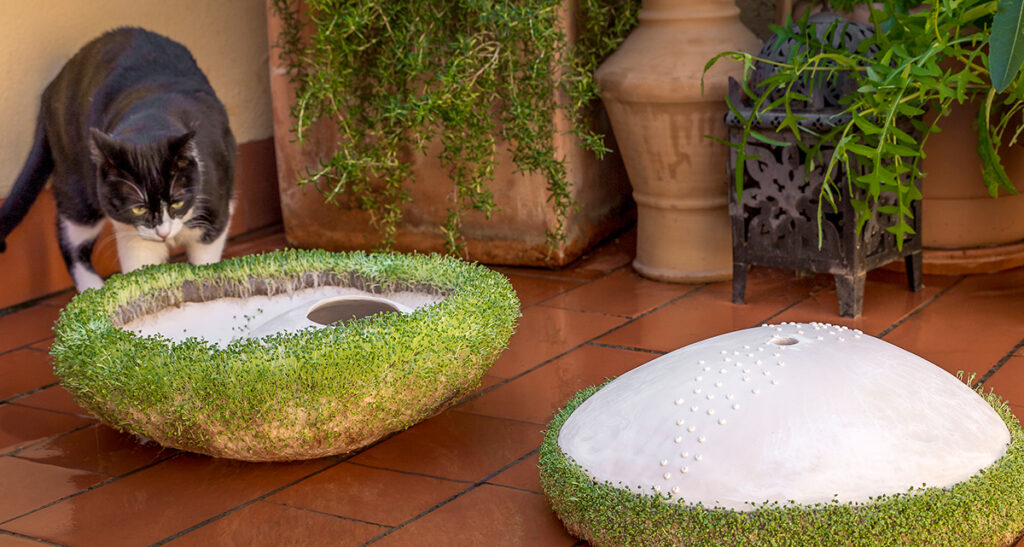 Cerámica de Silvia Favereto