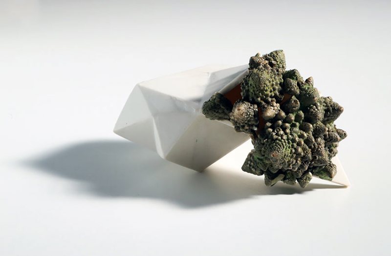 Carlos-Martinez-habitat15