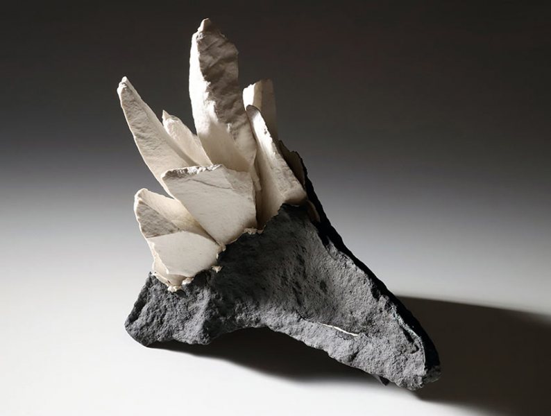 Carlos-Martinez-habitat5