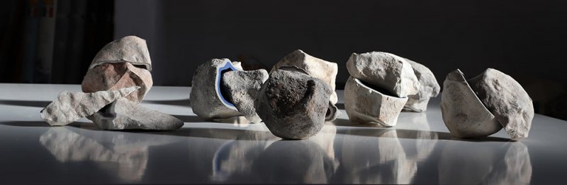 Carlos-Martinez-habitat6