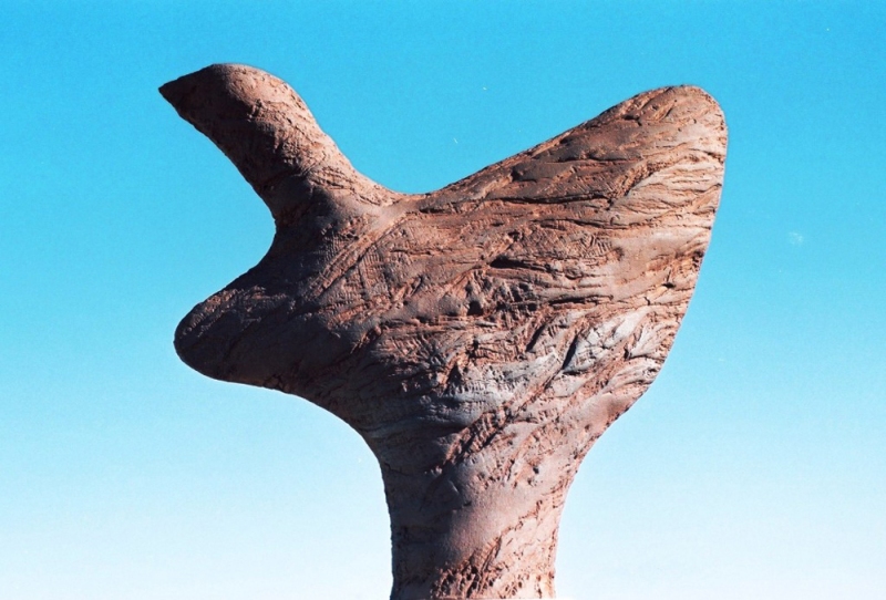 Ciprés de Tortosa