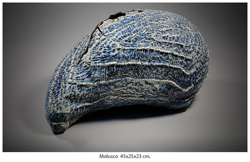 Molusco