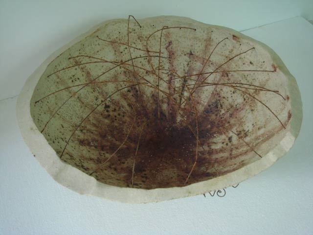 Semilla VI