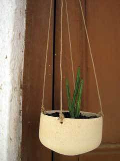 bols-cactus-penjar-torn