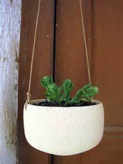 bols-plantes-refrectari-torn