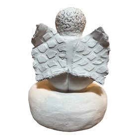 erika-cristalina-Venus-paleo-3