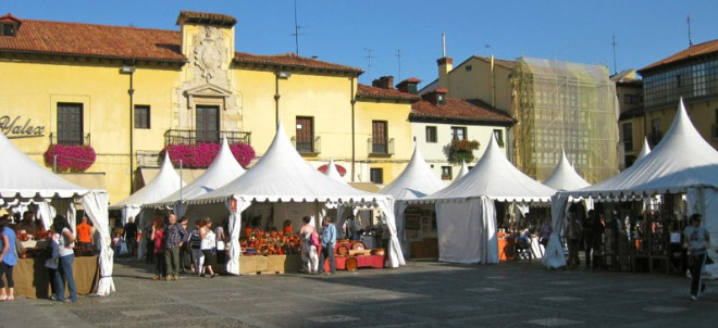 Feria_Leon_2013_b Vista de la feria de alfarería y cerámica de León