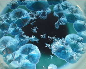 Esmalte de cristalizaciones