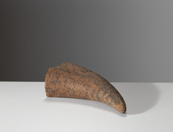 Claw, 2013. 7 x 29 x 14 cm Pieza de cerámica de Annie Turner