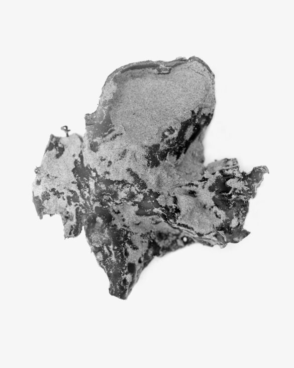 Baramor (Sea Bread), 2010.13 40 x 50 cm. Fotografía de Hervé Jézéquel