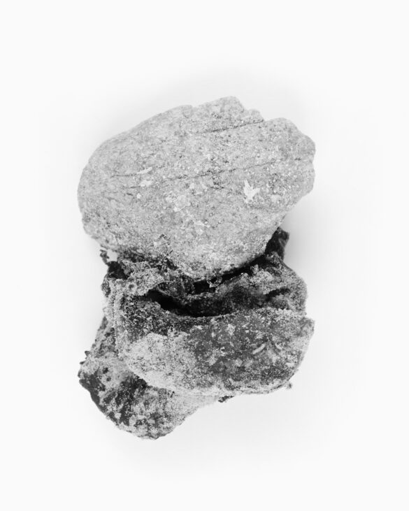 Baramor (Sea Bread), 2010-13. 40 x 50 cm Fotografía de Hervé Jézéquel