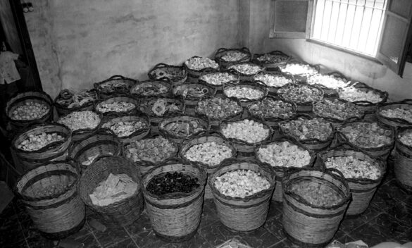 Exposicion_Escuraeta_5 Foto de canastos llenos de escuraeta