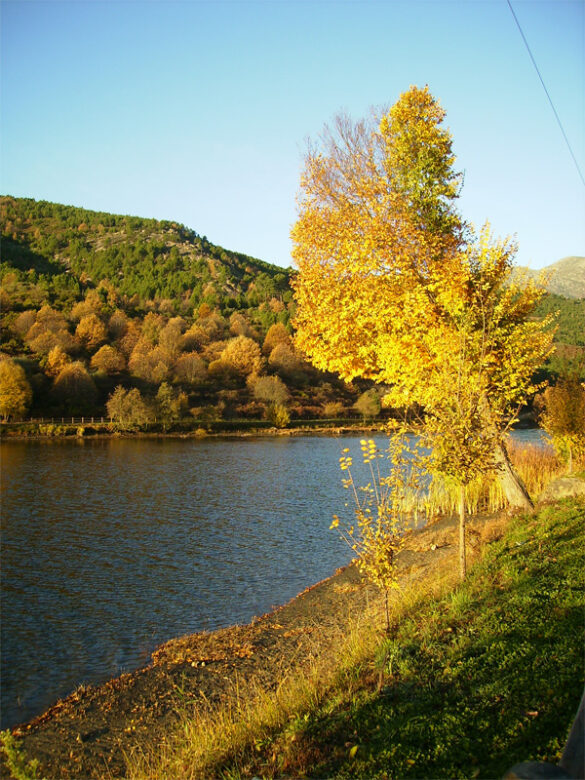 Entorno natural de Arenas de San Pedro, Ávila