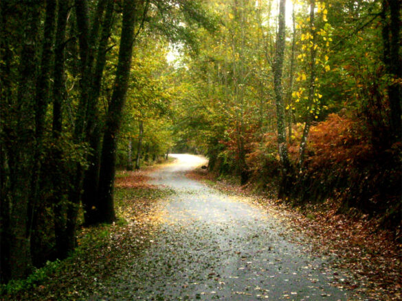 Entorno natural de Arenas de San Pedro, Ávila