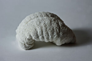 Pieza de cerámica de Rafaela Pareja para el curso de cerámica en Infoceramica