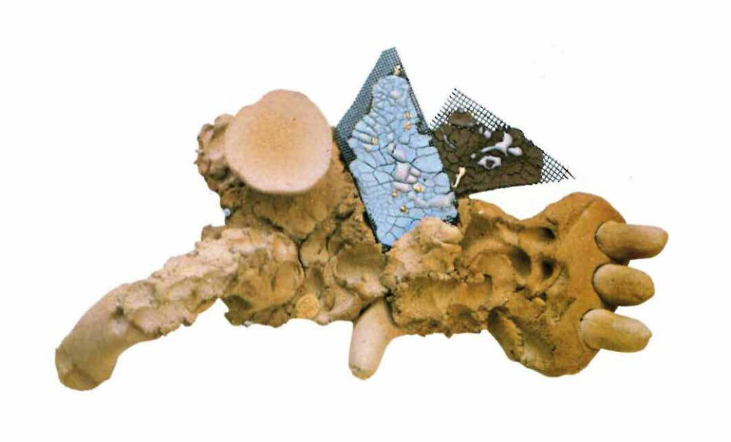 Cerámica de Satoru Hoshiro