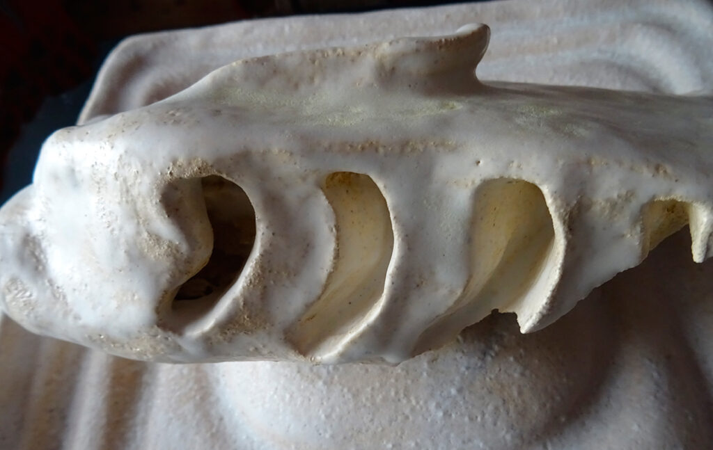 Cerámica de Dolors Bosch