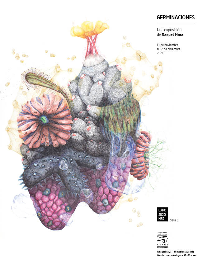 Cerámica de Raquel Mora