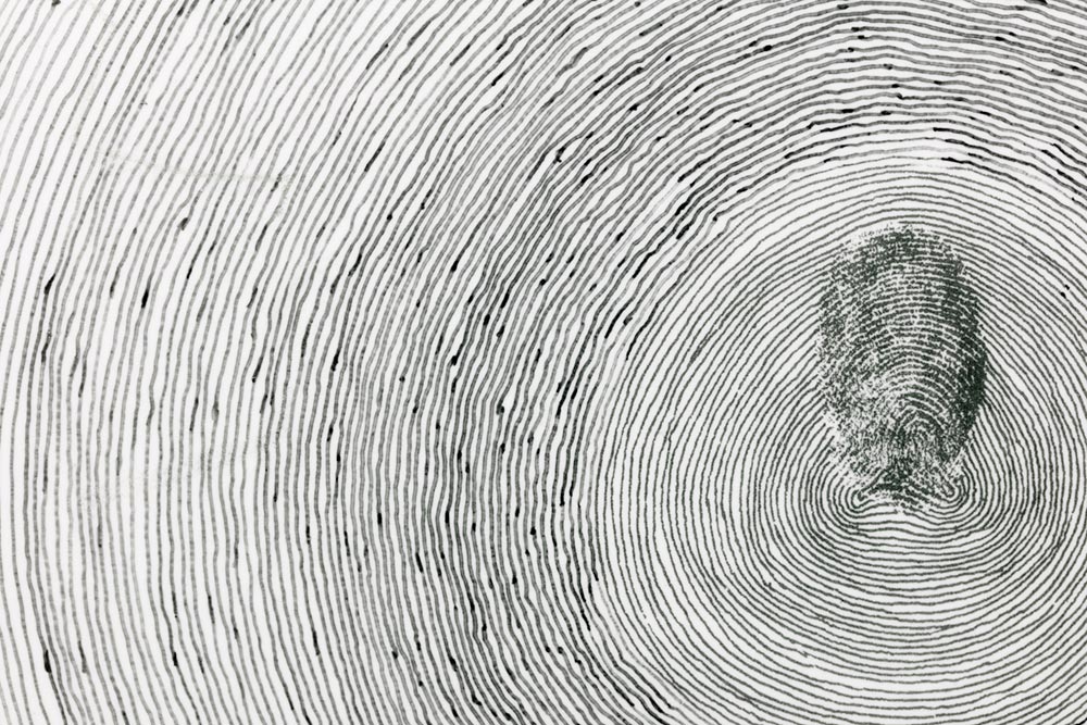Exposici n De Giuseppe Penone Infoceramica