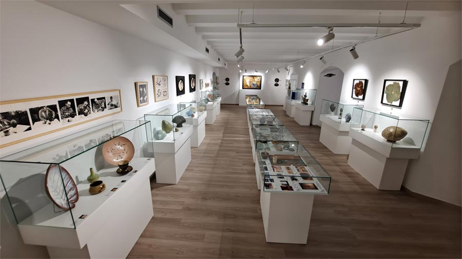 Museo Joan Panisello